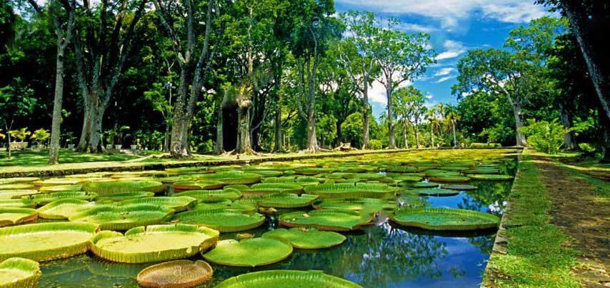 Lotus Villa, Residences Le Chaumet, Pereybere Bain Boeuf Dış mekan fotoğraf